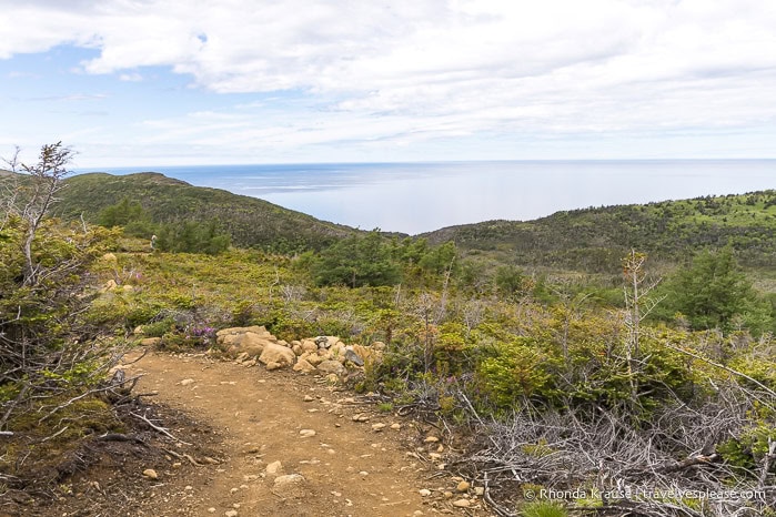 Green Gardens Trail με τον Κόλπο του Αγίου Λόρενς στο παρασκήνιο.