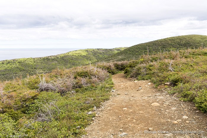 Green Gardens Trail με λόφους και τον Κόλπο του Αγίου Λόρενς.