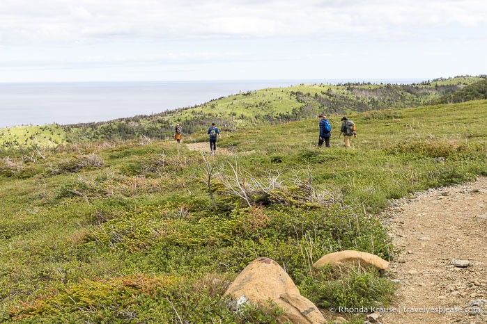 Οι πεζοπόροι στο Green Gardens Trail με τους λόφους και τον κόλπο του Αγίου Λόρενς στο παρασκήνιο.