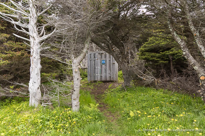 Outhouse στο δάσος.