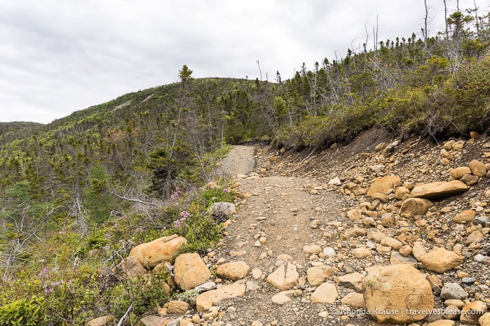 Rocky Trail με λόφους στο παρασκήνιο.