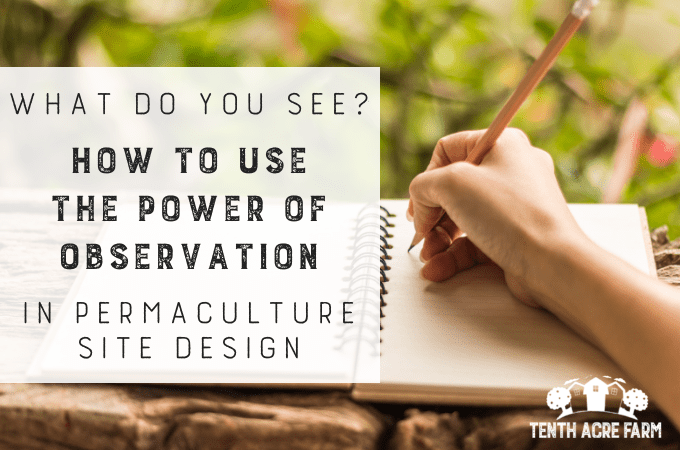 Παρατήρηση-notes-permaculture-site-design