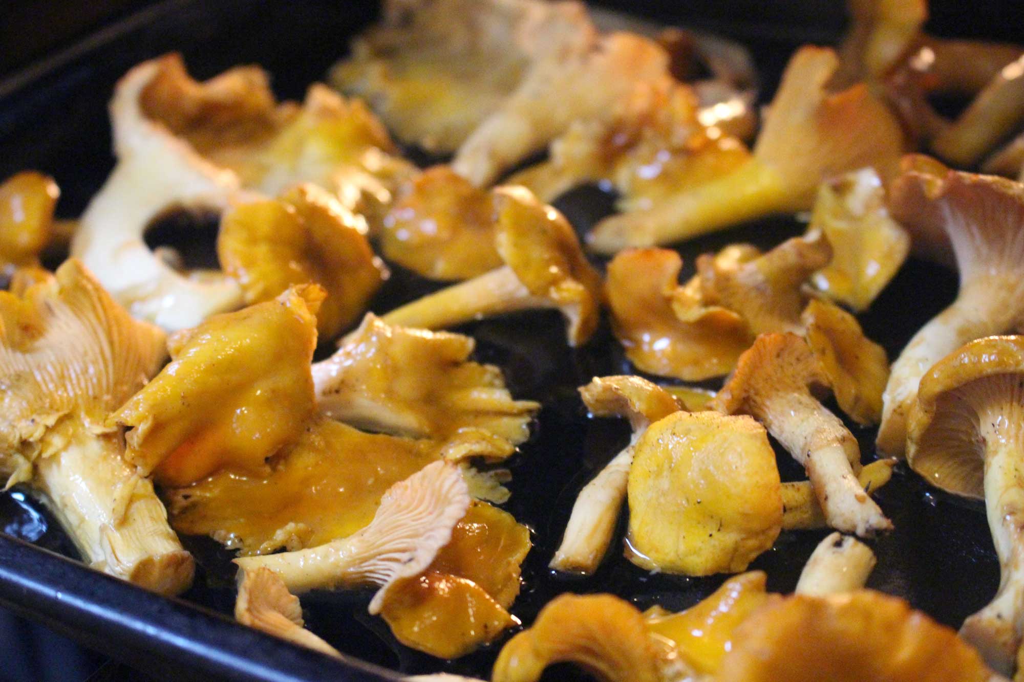 chanterelles-selating