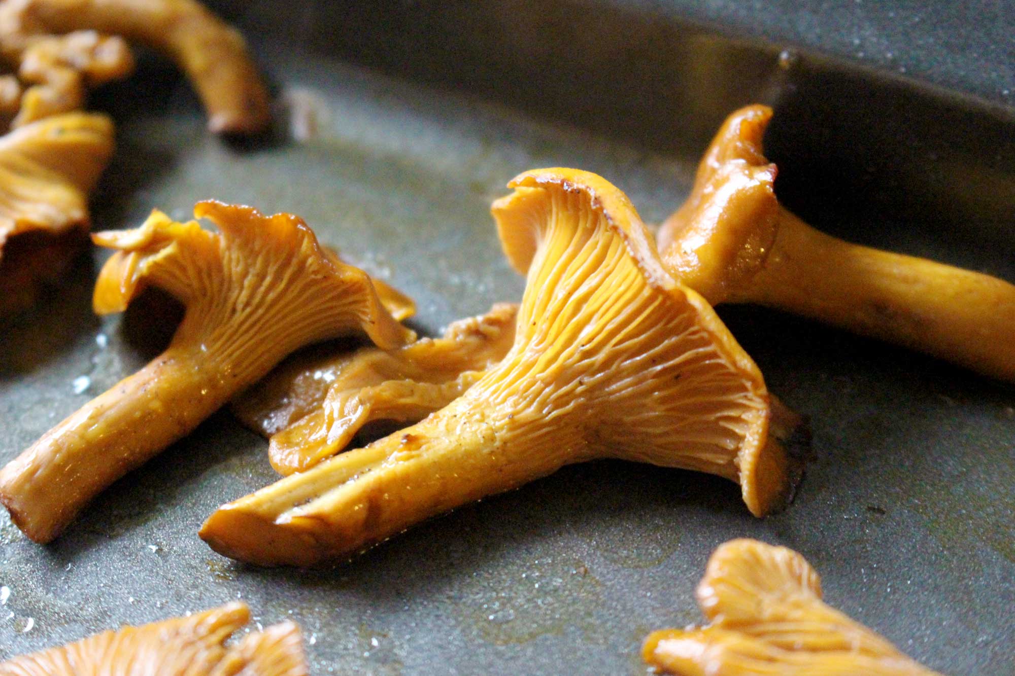 Chanterelles-ψητό-μίλια