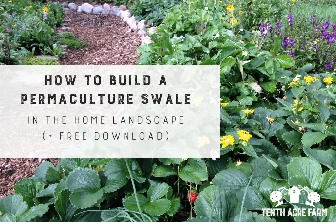 Ένα swale permaculture είναι μια τεχνική για τη σύλληψη και την αποθήκευση νερού σε έναν κήπο. Μάθετε πώς να χτίζετε ένα Swale στο τοπίο στο σπίτι. 